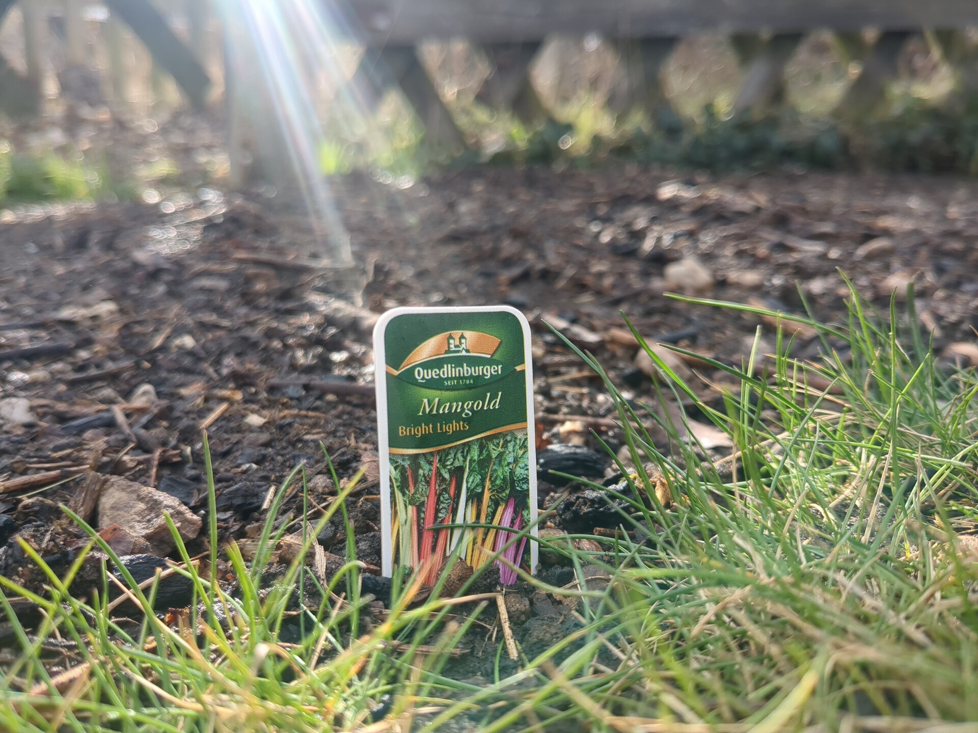 A vibrant display of nature's colors, capturing the delicate beauty of growth.