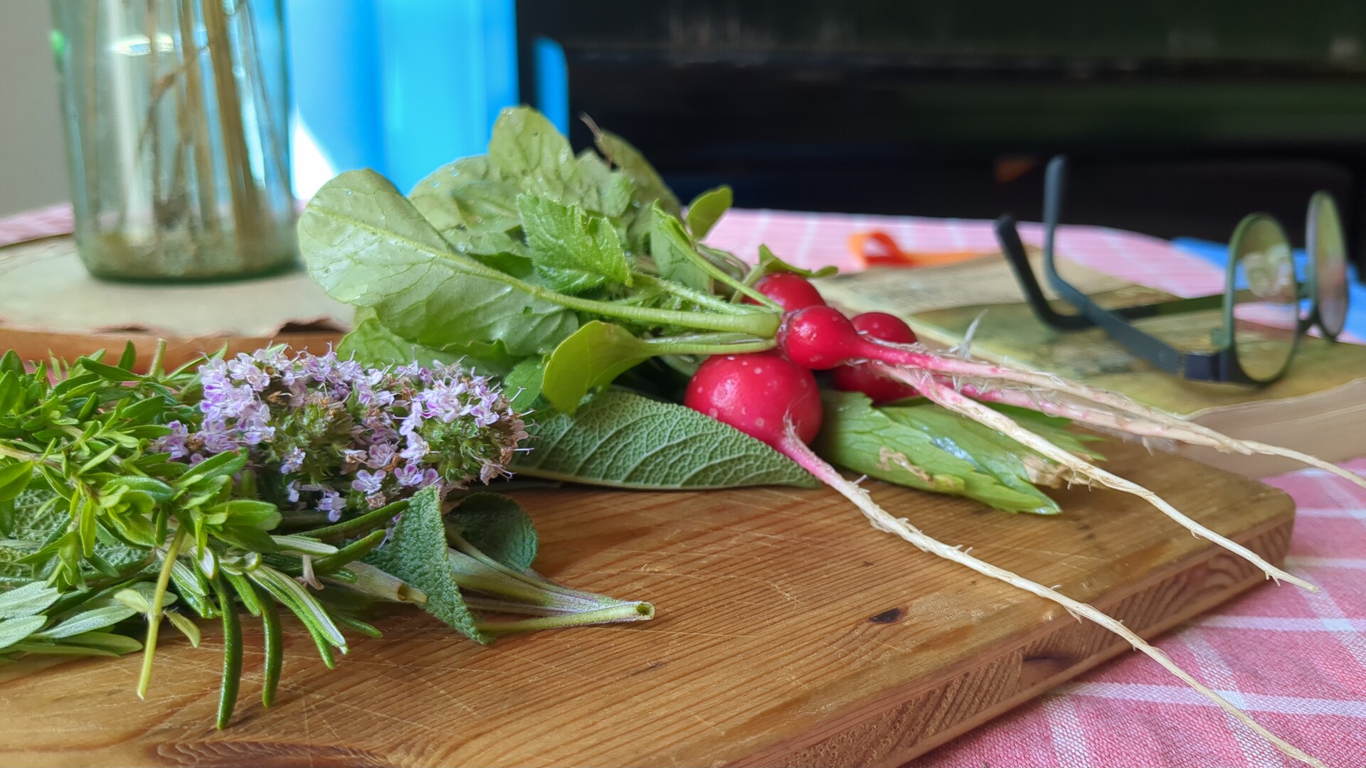A still life composition of fresh garden herbs, radishes, and natural light.