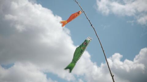 Artfully displayed fish ornaments suspended against a backdrop of clouds and blue sky.